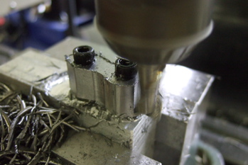 Cutting a dog Cutting a dog