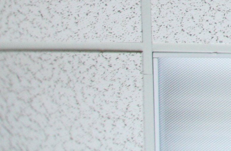 corner 100% crop